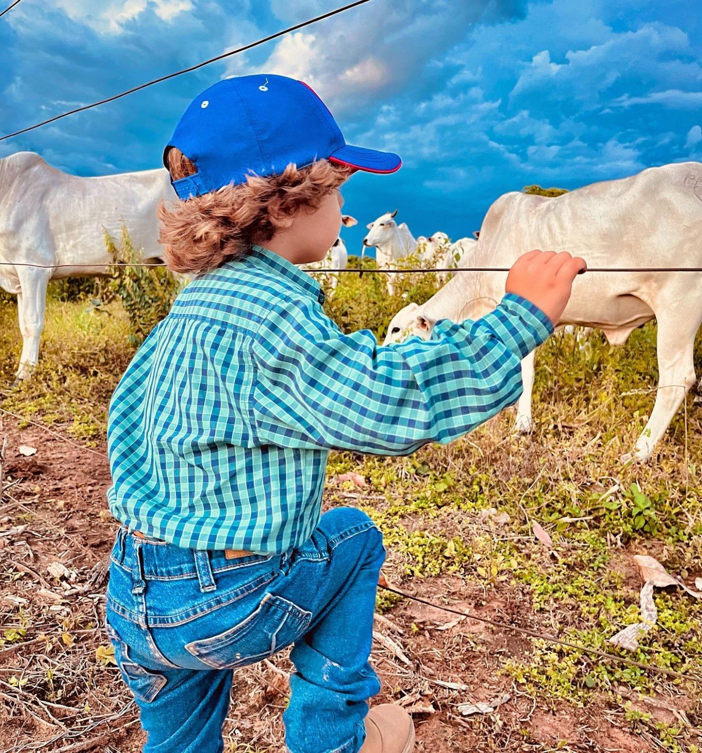 crianca jose marcos na pecuaria