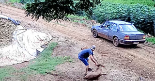 dupla é flagrada roubando bezerro