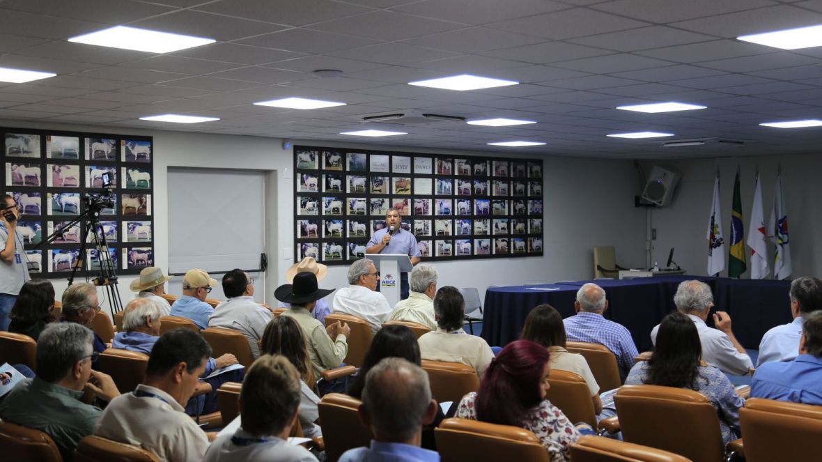 encontro de criadores de sindi na abcz