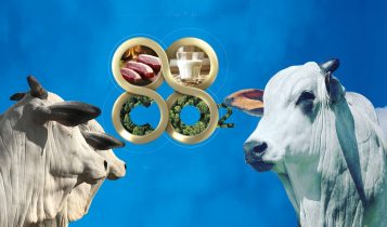 expozebu 2023 - edicao 88 - montagem comprerural