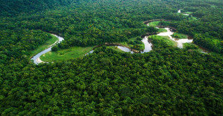 floresta amazonica - amazonia legal 2 - amazonas