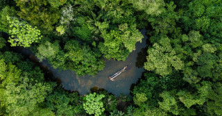 Em janeiro de 2023, o Fundo Amazônia retomou suas atividades, contando com o compromisso de doações provenientes de oito países, alcançando um montante total de R$ 3,9 bilhões.