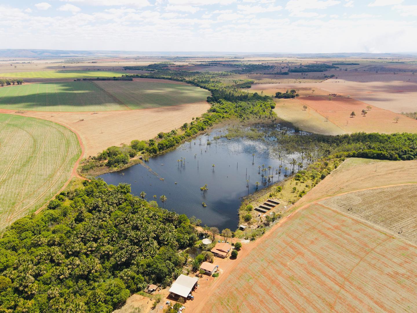 foto drone - agricultura em pivot irrigada - barragem com mata ciliar- fotao Amanda Apolinario Matos