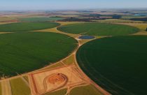 foto drone - agricultura em pivot irrigada - fotao Amanda Apolinario Matos