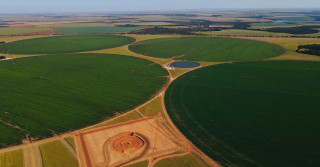 foto drone - agricultura em pivot irrigada - fotao Amanda Apolinario Matos