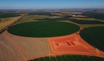 foto drone - agricultura em pivot irrigada - fotao Amanda Apolinario Matos