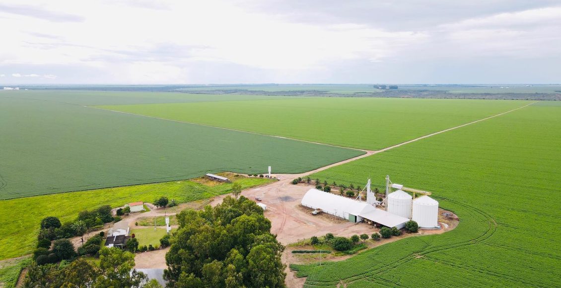 foto drone - agricultura em pivot irrigada - sede da fazenda - fotao Amanda Apolinario Matos