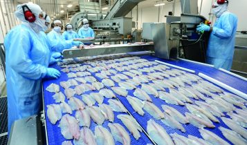 Tilápia: oferta elevada e demanda enfraquecida mantêm pressão sobre cotações