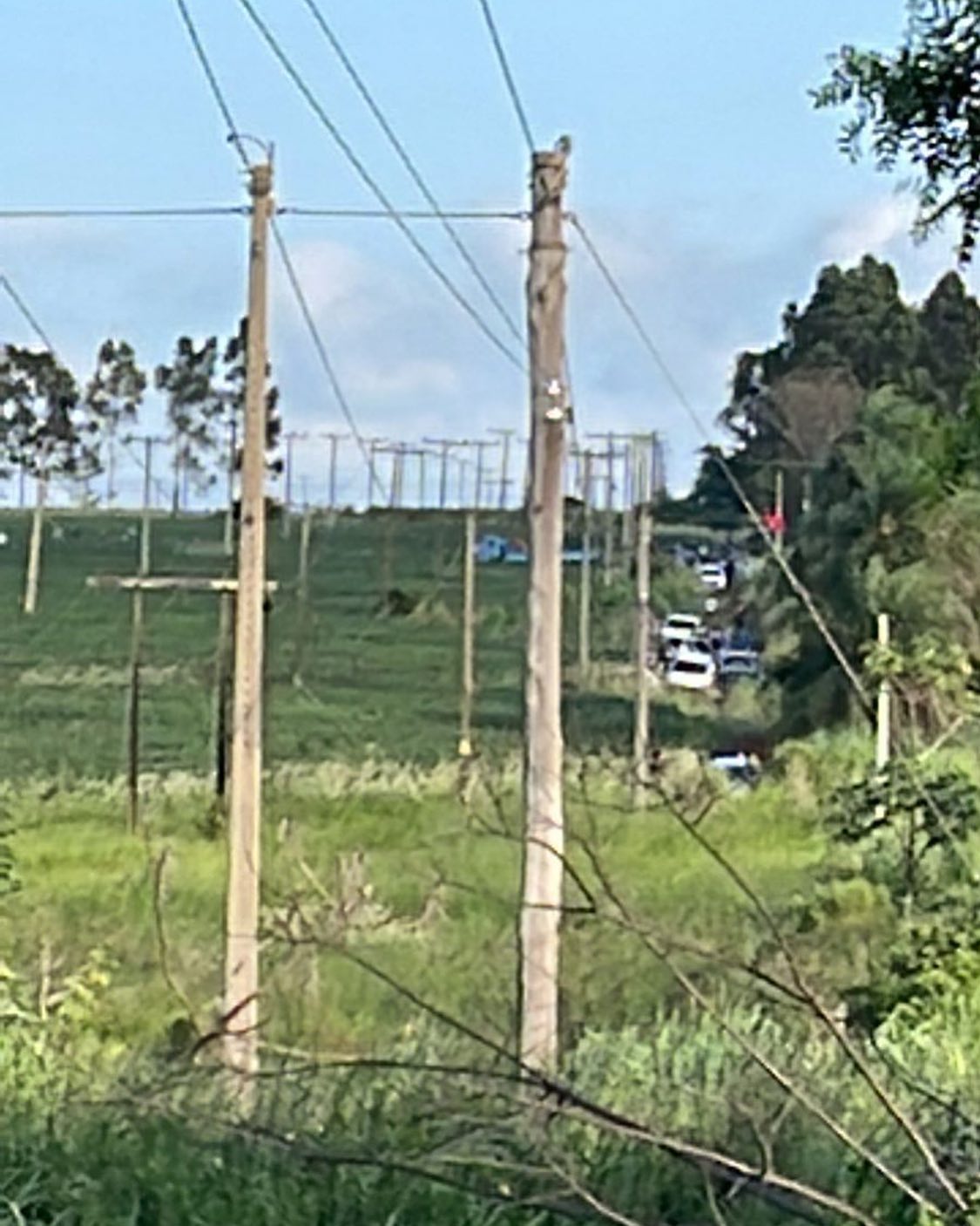 invasoes de terra por sao paulo