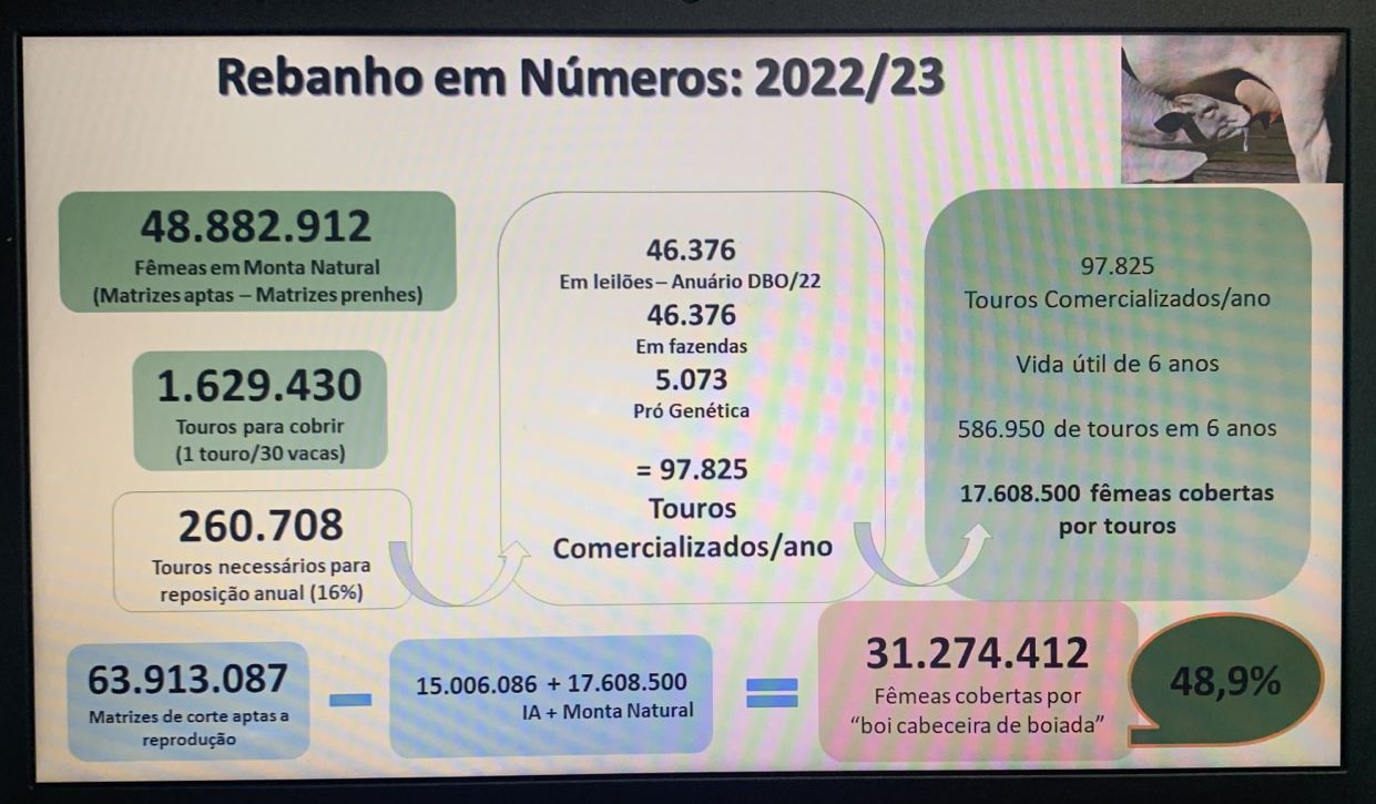 numeros-do-rebanho-brasileiro-touros-comercializados