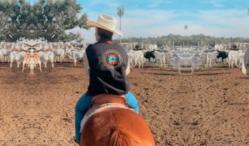 pamela pontes zootecnia - a campo com cavalo tocando o gado