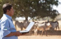 Uso obrigatório da Nota Fiscal Eletrônica para produtores rurais tem nova data