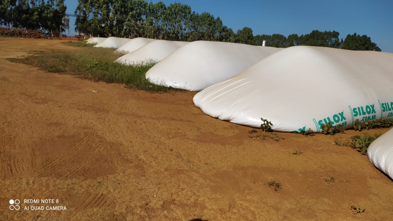 vantagens da utilização de silos-bolsas é sua mobilidade