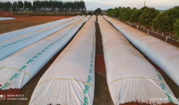vantagens da utilização de silos-bolsas é sua mobilidade