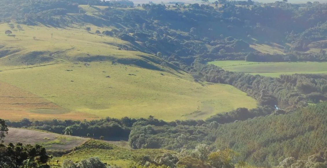 Floresta Reserva legal