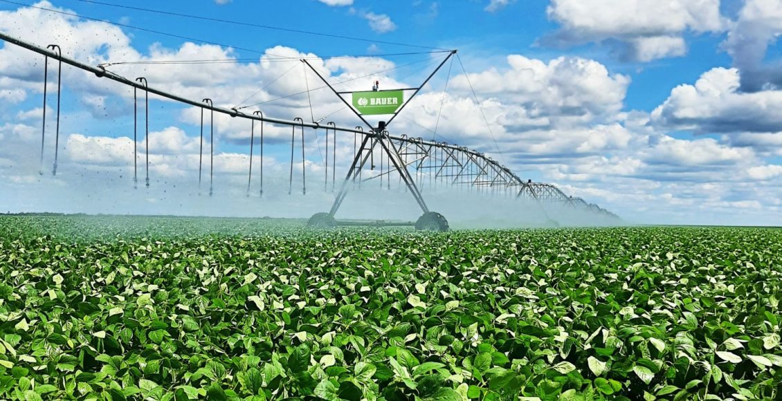 Agricultores do oeste baiano intensificam preservação hídrica na Semana da Água