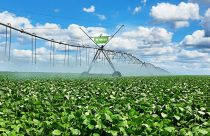 Agricultores do oeste baiano intensificam preservação hídrica na Semana da Água