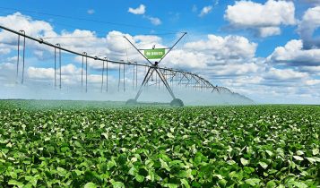 Agricultores do oeste baiano intensificam preservação hídrica na Semana da Água
