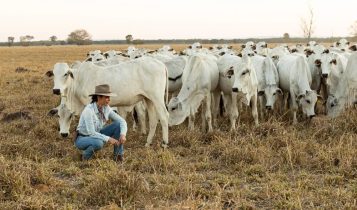 Pecuarista Carmen Perez será uma das palestrantes da Tecnoshow Comigo 2023