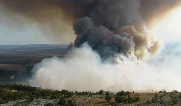 incêndio no pantanal