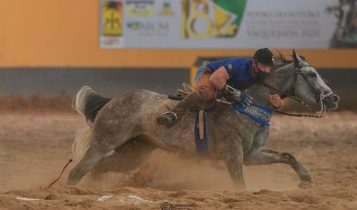Apoiado nos cavalos Wesley Safadão supera momento difícil na carreira