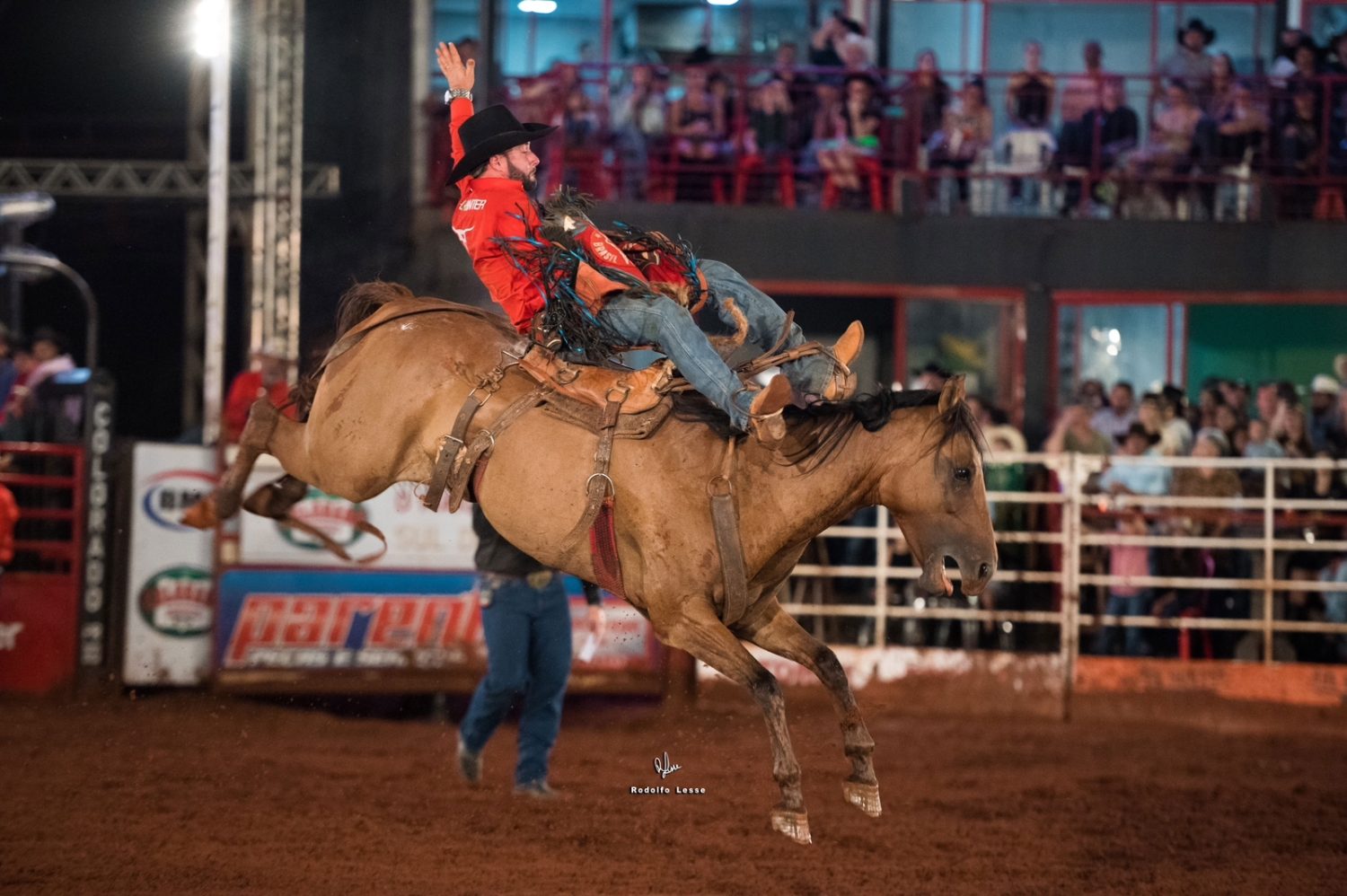 CONHEÇA OS CAMPEÕES DA FESTA DO PEÃO DE COLORADO 2023