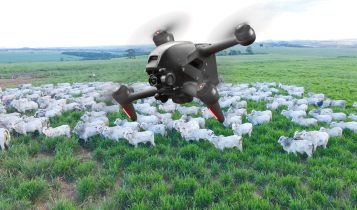 embrapa