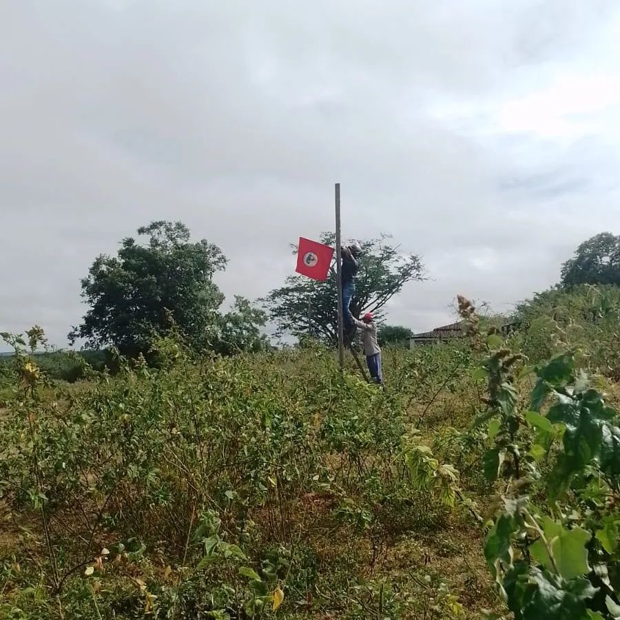 Fazenda-na-Bahia-é-palco-de-mais-uma-invasão-do-MST-1