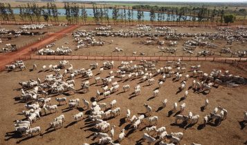 GA Intergado confinamento leitura de cocho