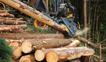 Manejo sustentável é aliado da preservação ambiental no Brasil