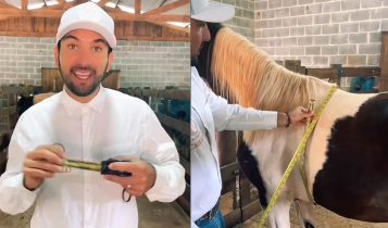 Médico Veterinário mostra como fazer pesagem de cavalo com trena