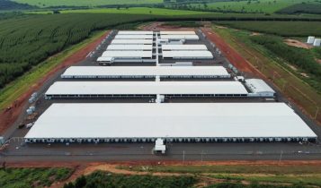 Novo Núcleo Genético; Granja Gênesis