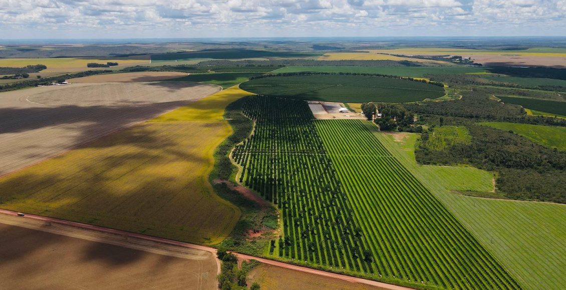 agricultura fantastica - area com pivot - fotao-Amanda-Apolinario-Matos 2