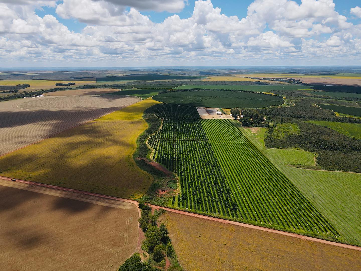 agricultura fantastica - area com pivot - fotao-Amanda-Apolinario-Matos 2