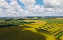 agricultura fantastica - area com pivot - fotao-Amanda-Apolinario-Matos