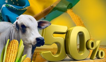 agronegocio 52 exportacoes brasileiras