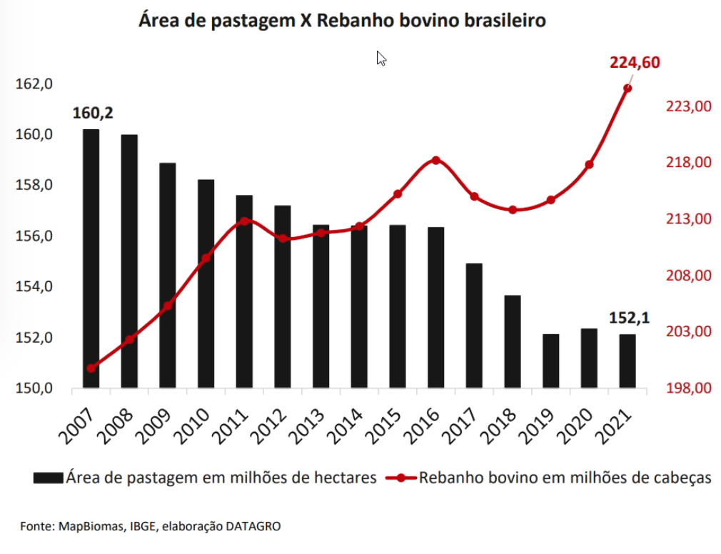 areas de pastagens x rebanho bovino brasileiro