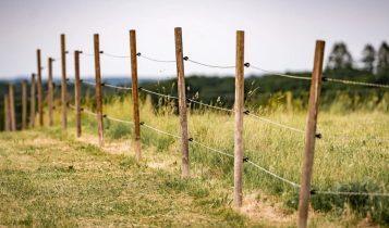 Infraestrutura da fazenda com arame de qualidade contribui para o bom desempenho reprodutivo do rebanho 