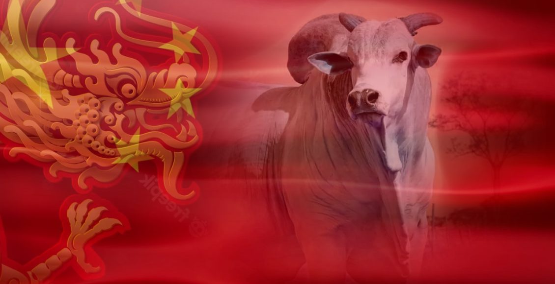 china exportacao de carne brasileira - dragao chinEs
