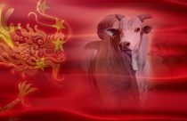 china exportacao de carne brasileira - dragao chinEs