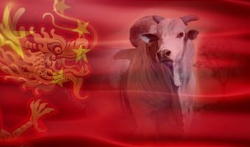 china exportacao de carne brasileira - dragao chinEs