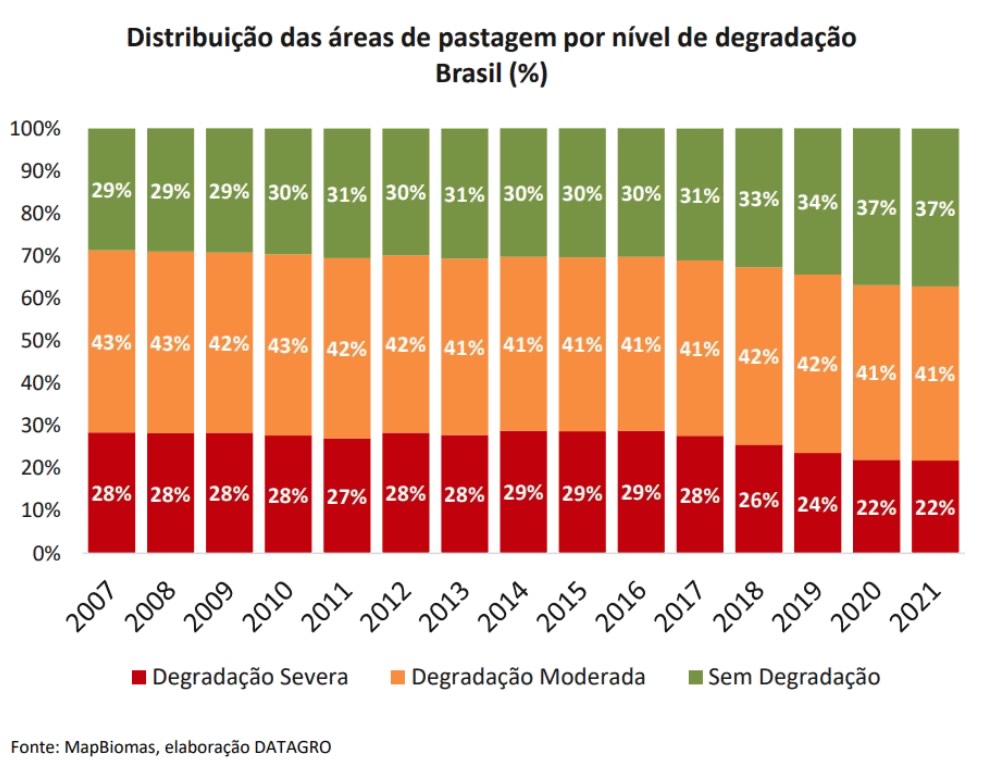 distribuicao de areas de pastagens por degradacao