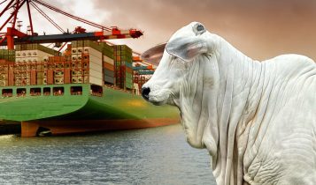 Exportações de carne bovina