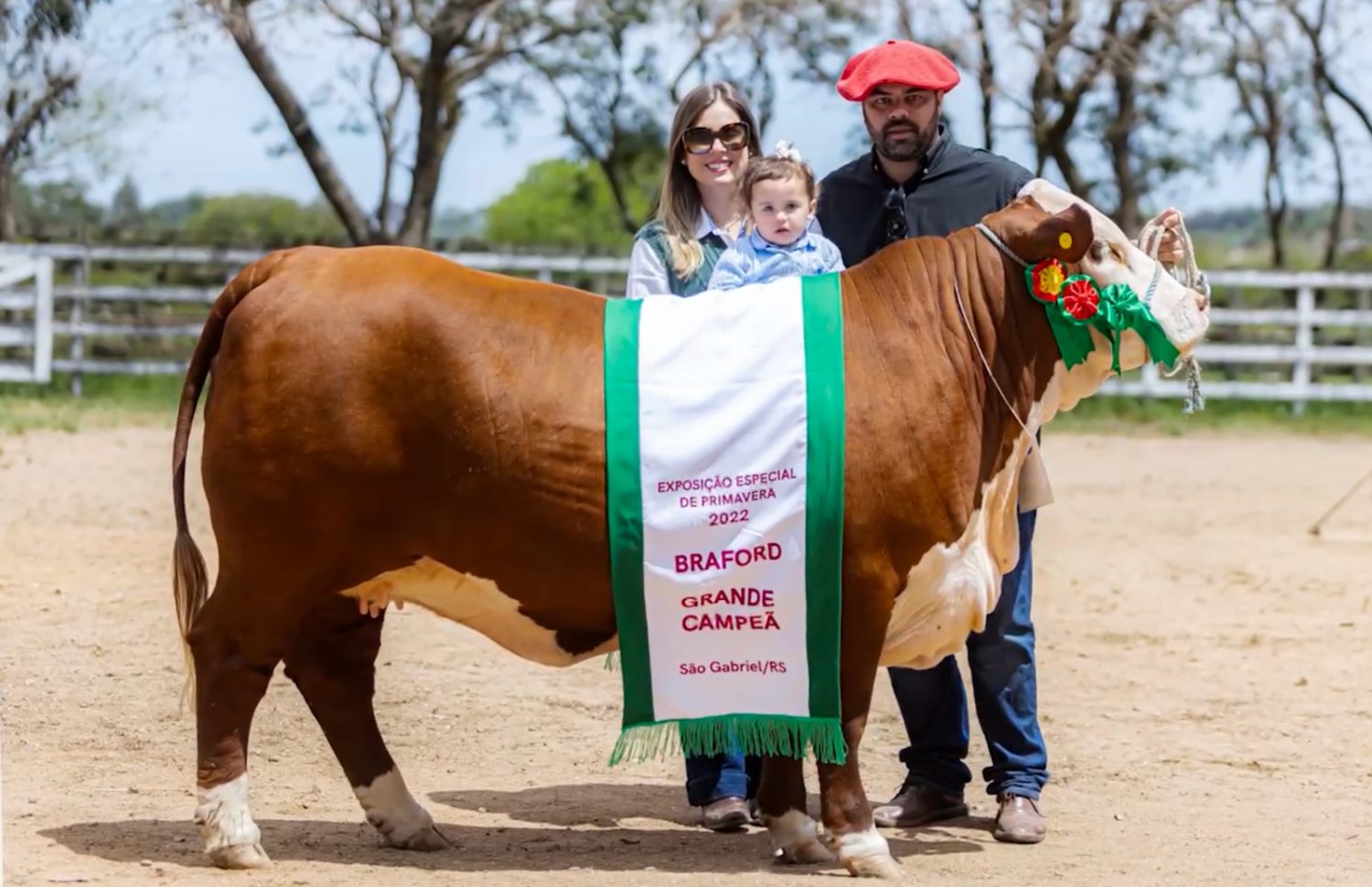 fazenda esperanca - genetica braford