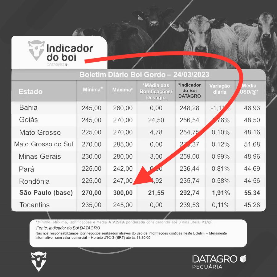 indicador do boi gordo - gpb:datagro