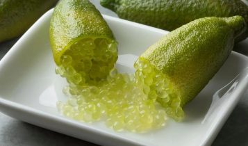 limao caviar - planta