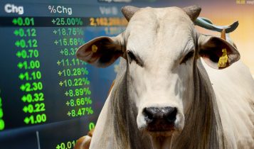 mercado do boi gordo em alta