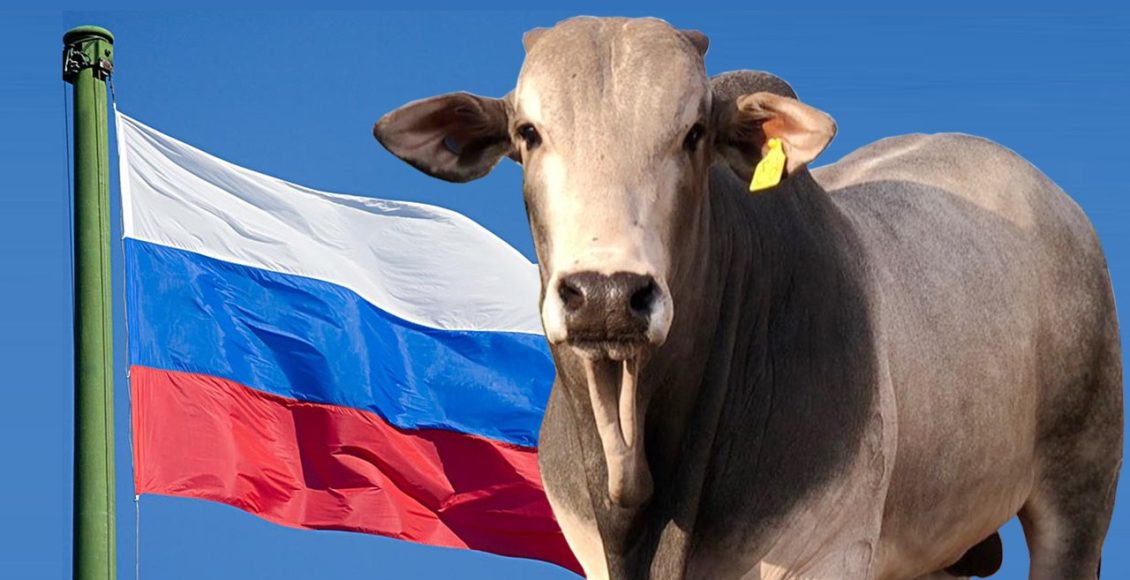russia suspende importacao de carne brasileira 2