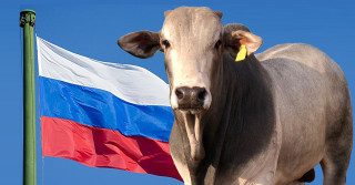 russia suspende importacao de carne brasileira 2