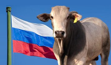russia suspende importacao de carne brasileira 2